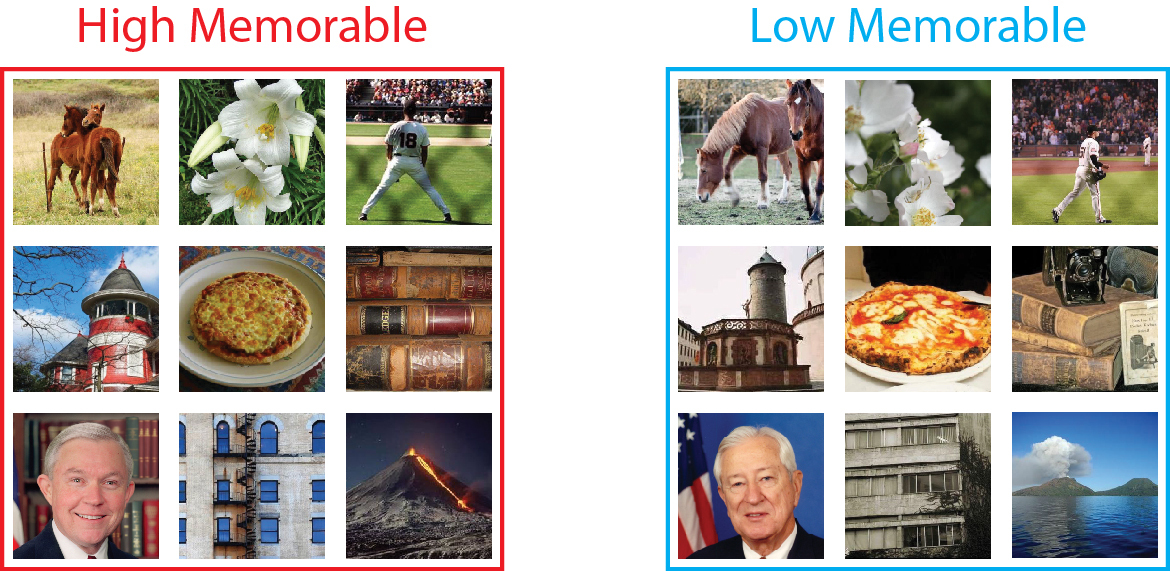 examples of high and low memorable images